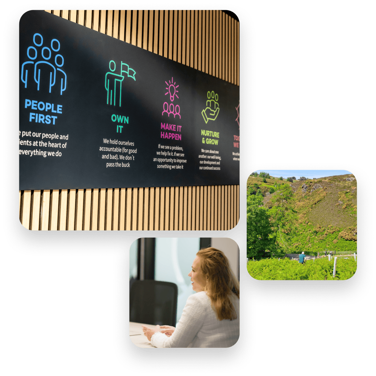 Image Cluster - ESG-1