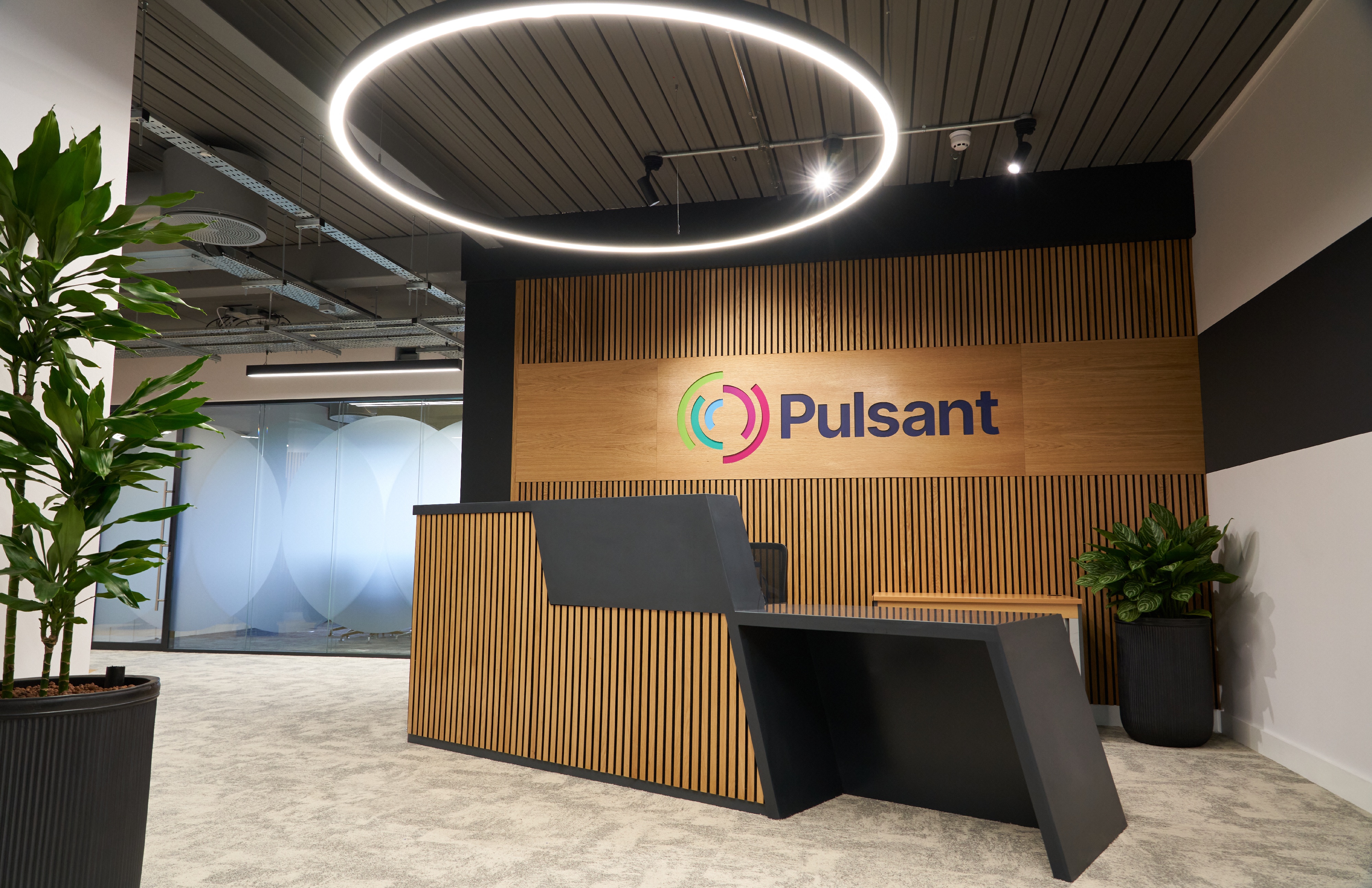 Pulsant Edinburgh 036-1