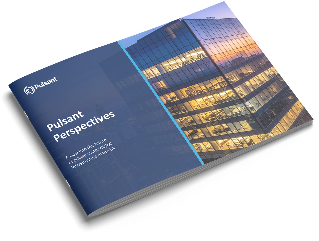 Pulsant Perspectives Document Mockup