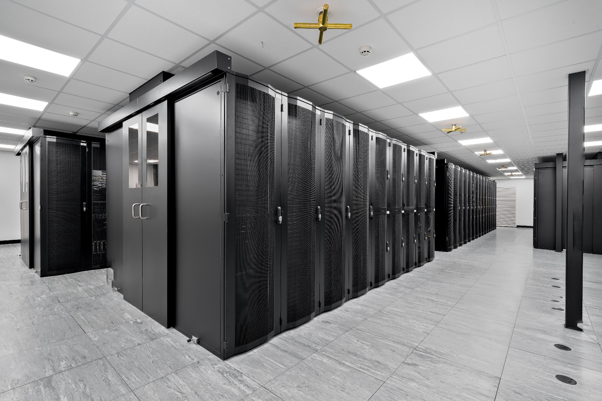 Pulsant High-Res Export-10-1