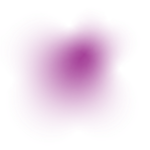 Purple Blog
