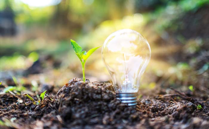 Pulsant Pledges to Reach Net Zero by 2050