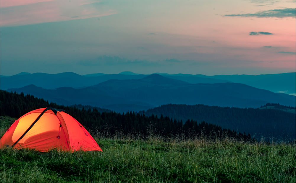 Location, location, colocation