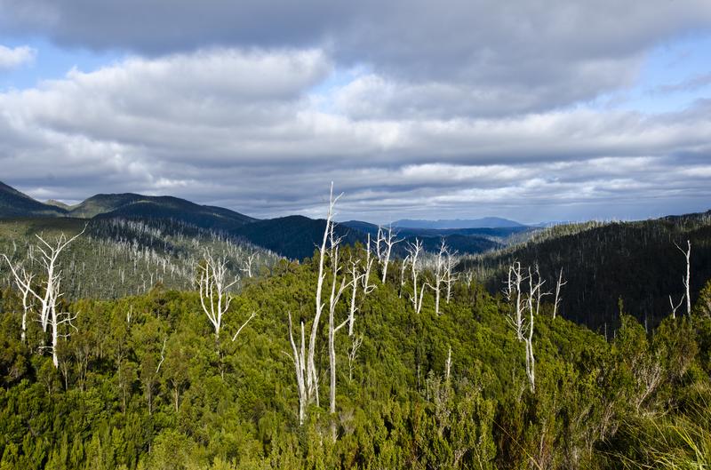 Reimagining the Data Centre: Respect, Resources, and the Path to a Sustainable Digital Future